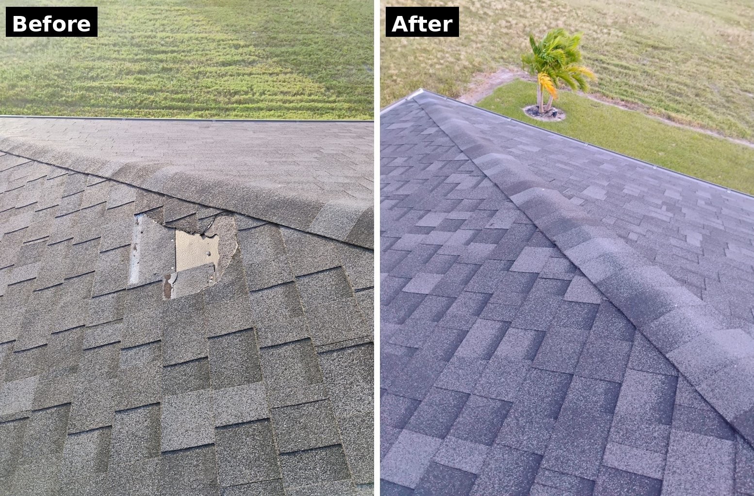 Before: missing shingles near the ridge on a Cape Coral home. After: the same roof repaired with matching shingles.